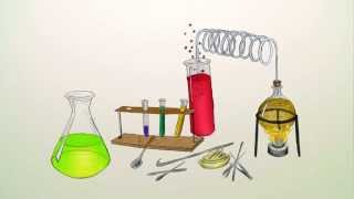 Richtig verstehen Proteinogene und essentielle Aminosäuren  Chemie  Organische Chemie [upl. by Leandro]