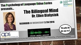 Psychology of Language Series  Dr Ellen Bialystok presents on the Bilingual Mind [upl. by Cynar168]