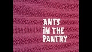 Ant and the Aardvark ANTS IN THE PANTRY  2 bumpers TV version laugh track [upl. by Ahsitak451]