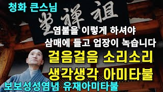 나무아미타불 염불을 걸음걸음 소리소리 생각생각에 하셔야 삼매에 들고 업장이 소멸합니다  보보성성염념유재아미타불  청화스님 법문 [upl. by Jabon]