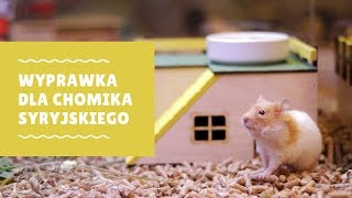 Wyprawka dla chomika syryjskiego [upl. by Salena]