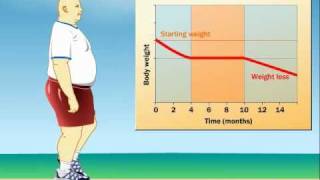 How Does Exercise Impact Weight Loss [upl. by Suitangi]