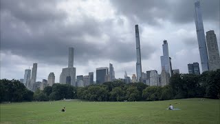 A big bird in Sheep Meadow [upl. by Yttiy]