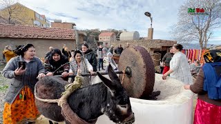 Retour Aux Sources Au Village Thawrirth à Bouzeguene à TiziOuzou … De L’huile à L’ancienne … [upl. by Cung887]