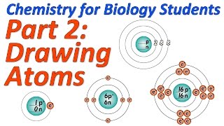 Basic Chemistry for Biology Part 2 Drawing Atoms Using the Octet Rule [upl. by Inimod940]