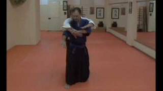 Sensei Roy Jerry Hobbs ve Adnan Safak Yuksel Dentokan jujutsu 16 Ushiro Zeme DoriSandanGiwmv [upl. by Tija]