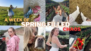 WEEKLY VLOG SECRET Project Sneak Peek Spring Activities amp lots of chaos [upl. by Asiuqram]