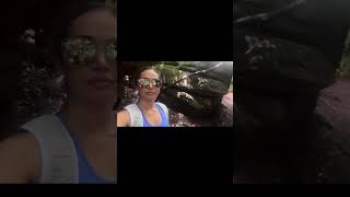 Our Trip to Deep Creek Lake MD deepcreek maryland vlog ولاگ ولاگروزانه frenchbulldog hiking [upl. by Nata]