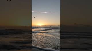 Sunrise at the ocean  bird in flight peaceful waves streess relief positive vibes naturetherapy [upl. by Voss]