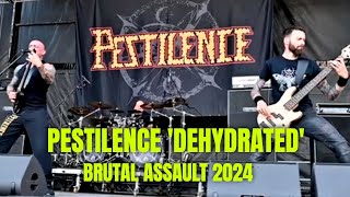 PESTILENCE  DEHYDRATED live at Brutal Assault Festival 2024 [upl. by Nainatrad]