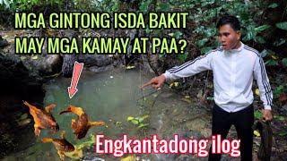 KAKAIBANG ISDA NATAGPUAN l BINABANTAYAN NG MGA ENGKANTADA [upl. by Llerrot]