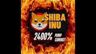 Shiba inu coin WILD price prediction 2400 pump shib price prediction [upl. by Giordano]