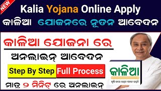 Kalia Yojana Online Apply 2024  Kalia Yojana Online Registration  Kallia Yojana New Apply [upl. by Enitnelav]