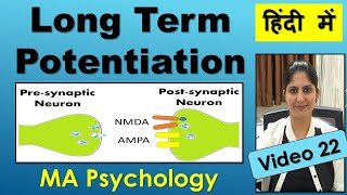 LongTerm Potentiation LTP Cellular Basis of Long Term Memory amp Learning Cognitive Psychology Hindi [upl. by Ettevroc264]