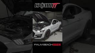 CX1300TT 951 Horsepower on 93 Octane PalmBeachDyno CX1300TT ShelbyGT500 TwinTurbo hellion [upl. by Scornik]