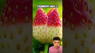 Strawberry bentuk aneh fruit strawberrys strawberry strowberry satisfying strewberry nature [upl. by Mahala122]