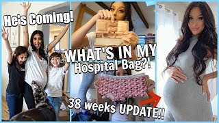 Hes COMING Hubby had to leave Pregnancy Update  Whats in My Hospital Bag Mini Haul [upl. by Ettevol]