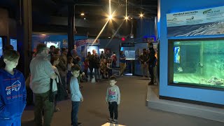 Spring Break Plans Aquarium of Niagaras Seaster and Sea the eclipse [upl. by Reinert]