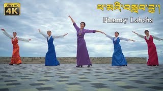 New Tibetan Song 2023 “Phamey Labcha” ཕ་མའི་བསླབ་བྱ་། By Lhamo Tso ལྷ་མོ་མཚོ། [upl. by Friedrick307]