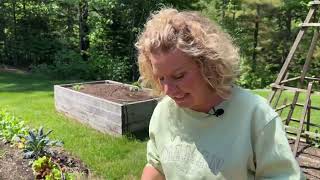 Comment confectionner un pot potager [upl. by Thomasin]