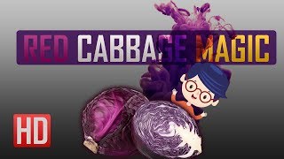 Red Cabbage MAGIC [upl. by Isma]