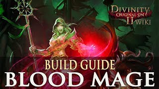 Divinity Original Sin 2 Builds  Blood Mage Necromancer [upl. by Erna]