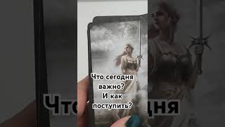 прогноз гаданиеонлайн tarot таро таролог гадание [upl. by Sugden]