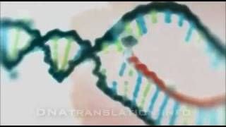 Protein synthesis DNA transcription translation and folding [upl. by Delaryd]