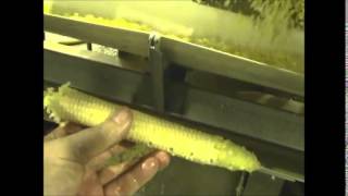 AampK 3 AR Hand Fed Corn Cutter Machine [upl. by Traweek548]