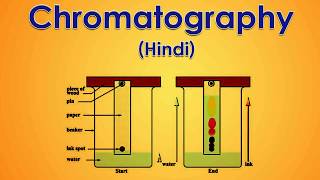 Chromatography 15 Hindi [upl. by Nomar303]