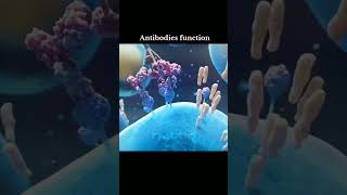 Antibiotics Functions antibiotics medical antibodi medicine [upl. by Kolosick875]