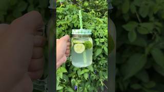 Detox Water For clear amp Glowing skin  Detox drink  Easy recipe  Healthy ytshorts shorts yt [upl. by Ennovehs]