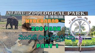 Hyderabad nehru zoological park exploring 1st time entire of my life 😂😂 I never seen animals🤷‍♂️ [upl. by Clim961]