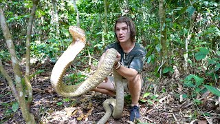 Worlds Most VENOMOUS Snakes DOCUMENTARY King CobraInland TaipanReticulated Python [upl. by Calabrese839]