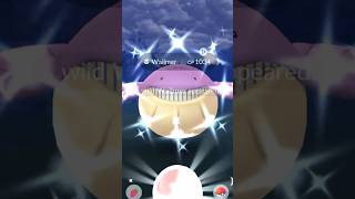 ✨Shiny Wailmer CAUGHT In Pokemon Go✨ pokemon shorts [upl. by Egiarc]