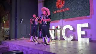 El Tamalero  Pelillos de Culiacán [upl. by Hplodnar]