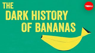 The dark history of bananas  John Soluri [upl. by Piderit]