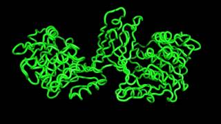 Structures of Burkholderia thailandensis nucleoside kinase  1 [upl. by Ladnyk]