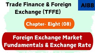 Foreign Exchange Market Fundamentals and Exchange Rate Chapter8 [upl. by Rasure]