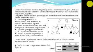 Exercice 1 la génétique humaine [upl. by Kenzie]