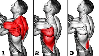 Back Workouts for Growing Upper Mid amp Lower Back [upl. by Suoivatco]