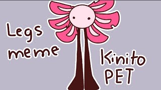 Legs meme  KinitoPET  FlipaClip Animation [upl. by Hubert]