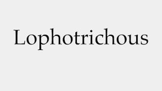 How to Pronounce Lophotrichous [upl. by Aihsar]