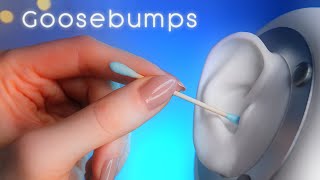 ASMR Ear Bliss Relaxing Ear Cleaning and Massage For Sleep  ASMR No Talking [upl. by Yevreh]