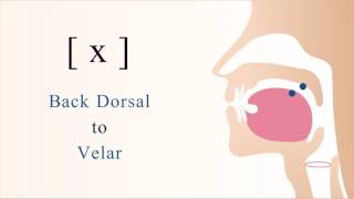 x  unvoiced dorsal velar non sibilant fricative [upl. by Tzong]