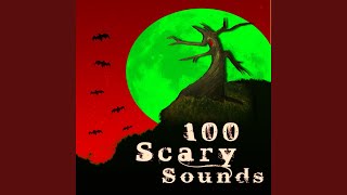 Scary Sounds Squishy Wet  Sound Effect  Halloween [upl. by Fawnia]