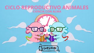 CICLO REPRODUCTIVO EN ANIMALES [upl. by Glarum]