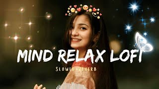 Ja hamse slowedreverb  mind relaxing and trending lofi songs 2024  lofi trending jaishreeram [upl. by Iderf]