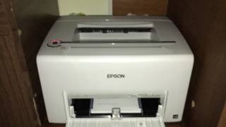 Epson Acu Laser C1700 Printing  Demo Color [upl. by Keyek]