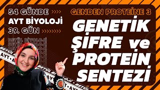 39 Genetik Şifre ve Protein Sentezi  Genden Proteine  12 Sınıf  2024 AYT Biyoloji Kampı 39 Gün [upl. by Cchaddie]